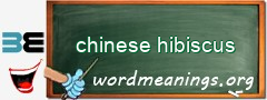 WordMeaning blackboard for chinese hibiscus